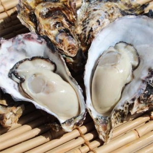 広島産 殻付きカキ